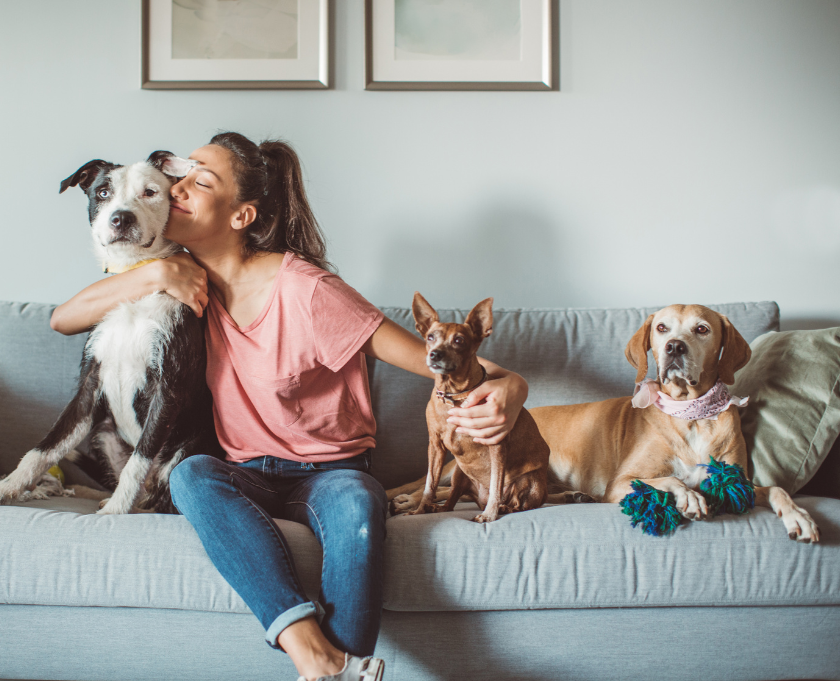 Como iniciar um serviço de pet care em grandes condomínios e atrair clientes fiéis